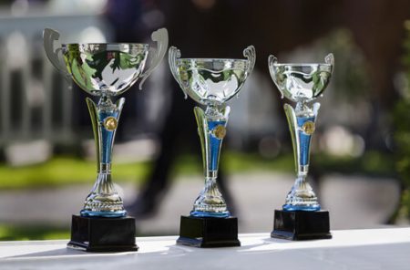 Glass Trophies